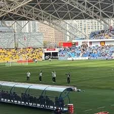 梅西与阿根廷的世界杯梦幻之旅